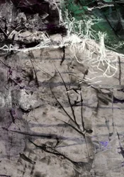 Abstraction des branches organiques