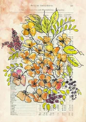 Document floral vintage