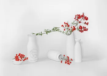 Présentation minimaliste de baies rouges