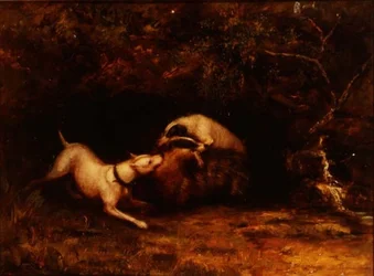Chiens attaquant un blaireau, vers 1870