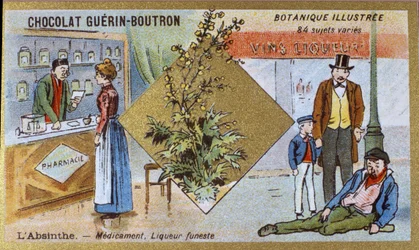 Absinthe : médecine et liqueur mortelle (gravure chromolithographique publicitaire pour les chocolats Guerin-Boutron, fin 19e siècle)