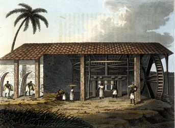 Brésil, usine à sucre - dans "Le Costume Ancien et Moderne" 1819 - 1820 par Dr. Jules Ferrario, éd. Milan.