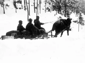 Première Guerre mondiale, Front du Carso : chasseurs alpins italiens transportant de la nourriture sur des traîneaux