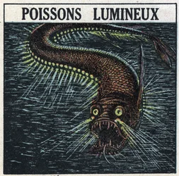 Phosphorescence: poisson lumineux. Illustration anonyme de 1925. Collection privée.