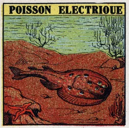 Effets physiologiques de l