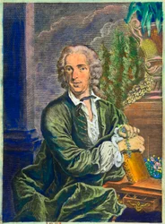 Portrait de Carl Von Linné (1707-1778) naturaliste suédois (collection privée)