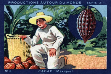 Productions autour du monde : Cacao au Mexique. Chromolithographie de 1933 dans « Joseph-Milliat Album »
