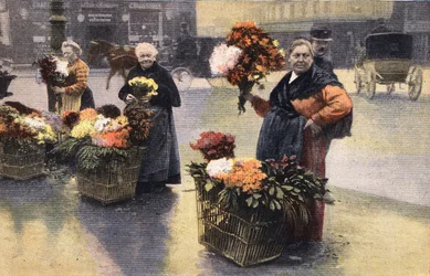 La fête des chrysanthèmes : marchand de chrysanthèmes dans la rue. Gravure. Un des journaux « Le petit parisien » du 20/11/1910. Collection privée.