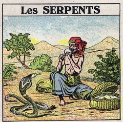 Les effets de la musique : un charmeur de serpents cobras. Illustration anonyme de 1925. Collection privée.
