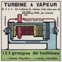 La machine à vapeur : coupe transversale d