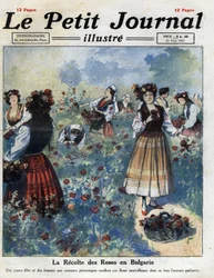 Jeunes femmes en costume traditionnel bulgare cueillant des roses pour la fabrication de l