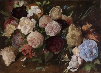 Étude de fleurs