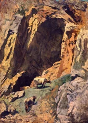 Fissure rocheuse avec des vaches