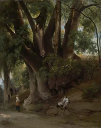 Paysage arboré italien (Route près d