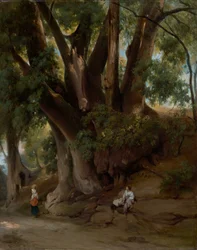 Paysage italien avec arbres (route près d