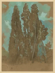 Étude de cyprès