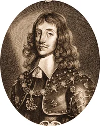Anselmus-van-Hulle-Men-illustres (recadré)