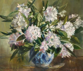 Rhododendrons, blanc pâle et rose