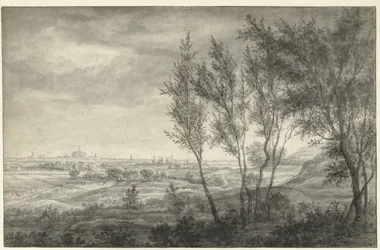 Vue des dunes sur Haarlem