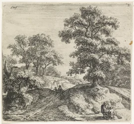 Grand chêne à côté d