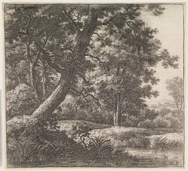 Arbre poussé de travers