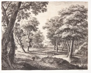 Chemin forestier