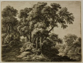 Le sentier boisé