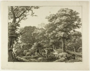 Le Wayfarer se reposant dans la forêt
