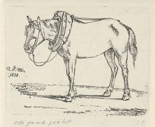 Cheval harnaché