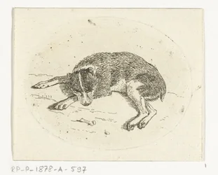 Chien couché