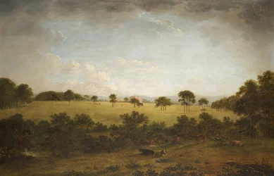 Tabley : le parc avec une vue lointaine de la maison