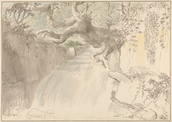 Cascade et Tronc d