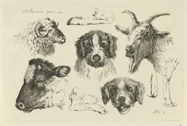 Têtes et pattes d