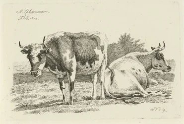 Vache debout et couchée