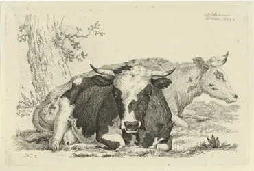 Deux vaches couchées devant un arbre