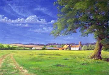 Champ de la maison, 2004