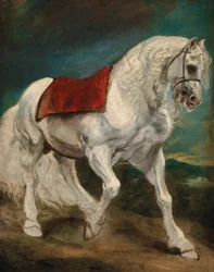 Un cheval andalou