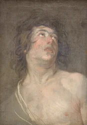 Étude de la tête d