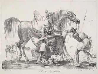 Arabe du désert