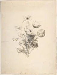Motif floral
