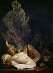 Nature morte aux coquillages et au corail (huile sur toile)