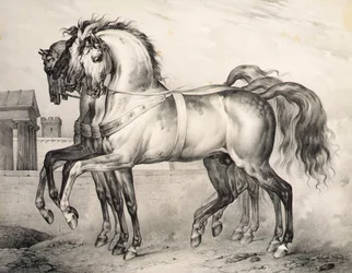 Les chevaux montés par Louis Philippe, duc d
