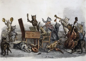 Un concert amateur, caricature de chats jouant des instruments de musique, gravure de Carle Vernet (1758-1836), France