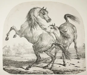 Chevaux sauvages se battant, vers 1820