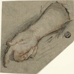 Dos de la main et avant-bras