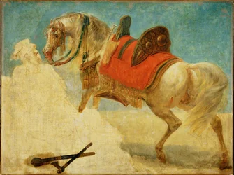 Etude de cheval arabe harnache ...