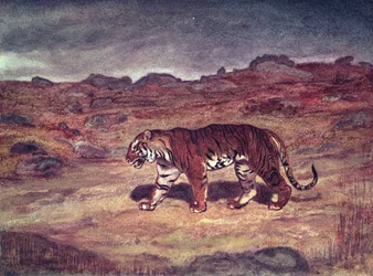 Un tigre chassant sa proie