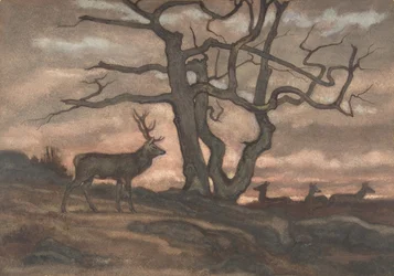 Cerf et arbre contre le coucher du soleil