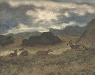 Cerf dans le paysage