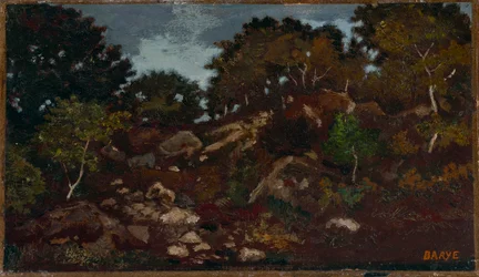 Rochers dans la forêt de Fontainebleau